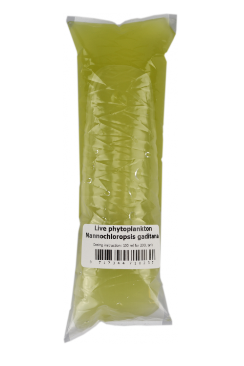 Phytoplankton Nannochloropsis gaditana