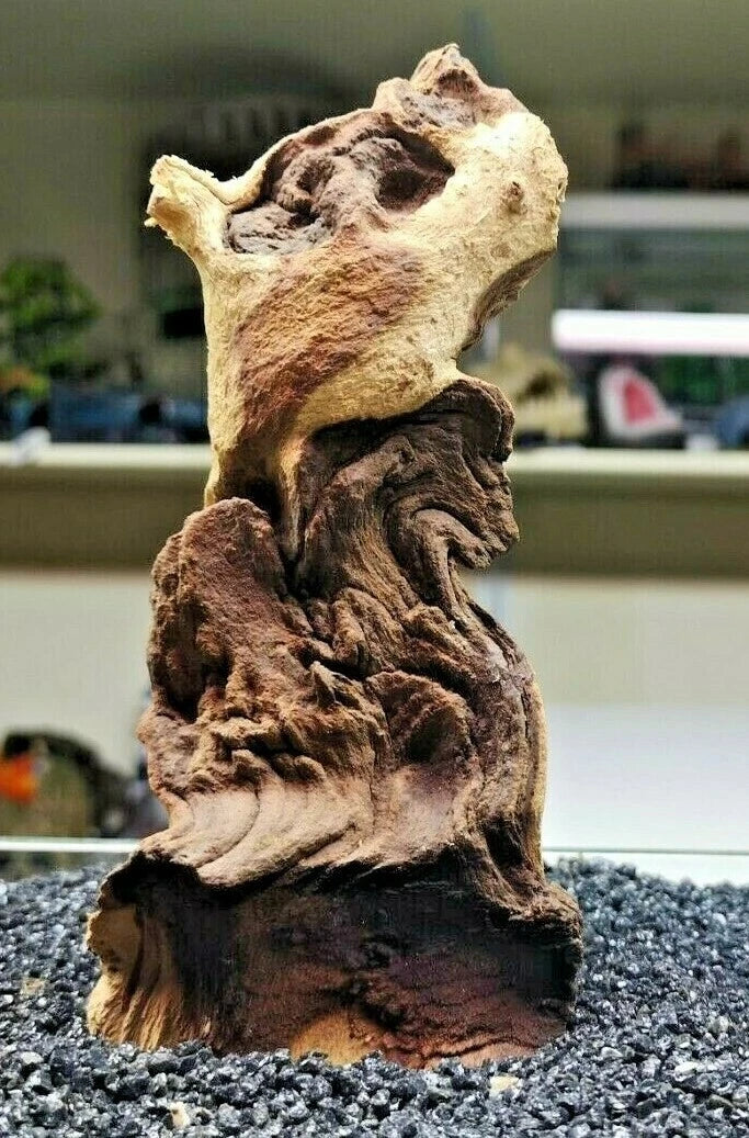 Extra Small Mopani wood x1 FOR Nano AQUARIUM, vivarium AQUASCAPING, bogwood