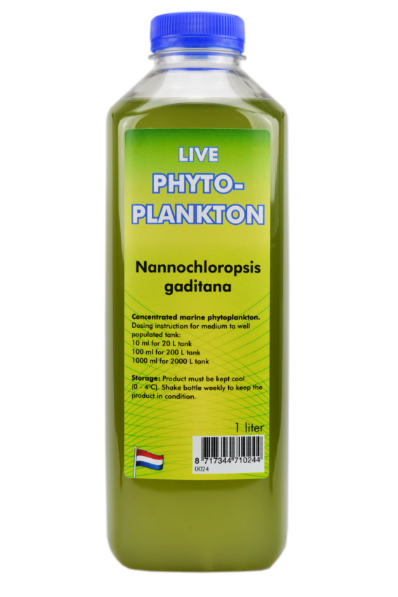 Phytoplankton Nannochloropsis gaditana – 1000ml bottle