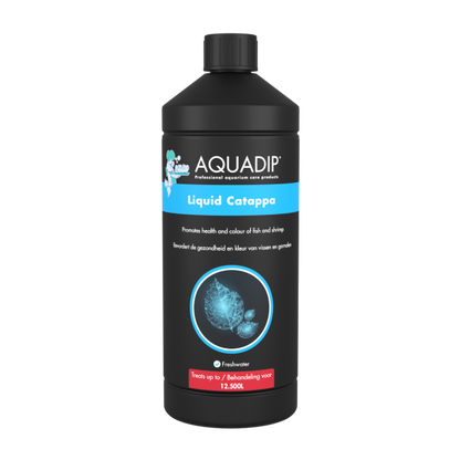 AQUADIP Active Start