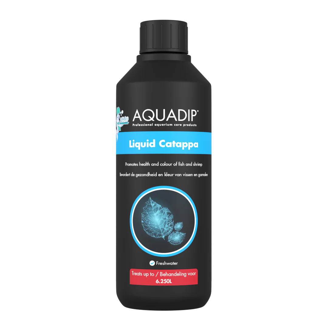 AQUADIP Active Start