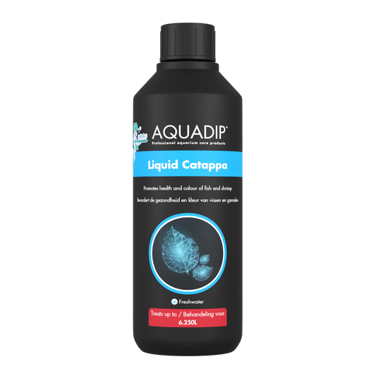 AQUADIP Active Start