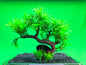 Aquarium Tree Ornament Fish Tank Bonsai Decoration Choose Your Style Artificial
