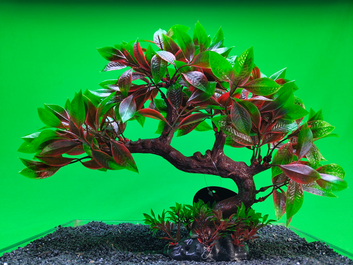 Aquarium Tree Ornament Fish Tank Bonsai Decoration Choose Your Style Artificial
