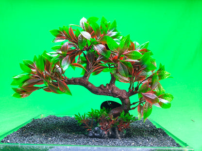 Aquarium Tree Ornament Fish Tank Bonsai Decoration Choose Your Style Artificial