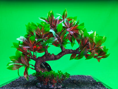 Aquarium Tree Ornament Fish Tank Bonsai Decoration Choose Your Style Artificial