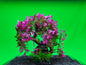 Aquarium Tree Ornament Fish Tank Bonsai Decoration Choose Your Style Artificial