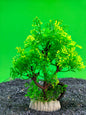 Artificial Aquarium Tree Ornament Fish Tank Plant Decoration Choose Your Colour