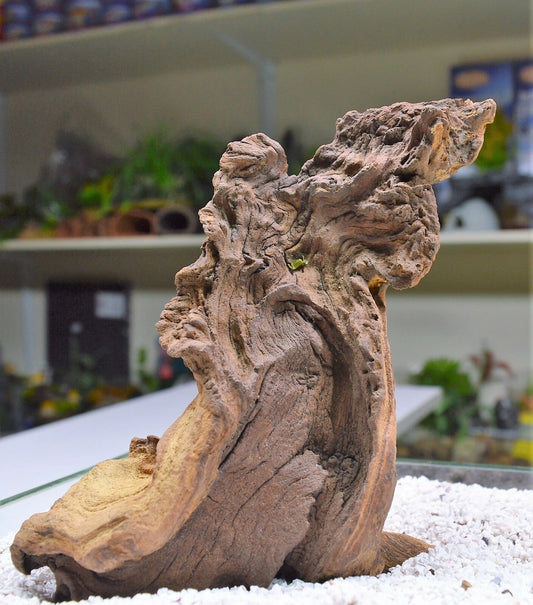 Extra Small Mopani wood x1 FOR Nano AQUARIUM, vivarium AQUASCAPING, bogwood