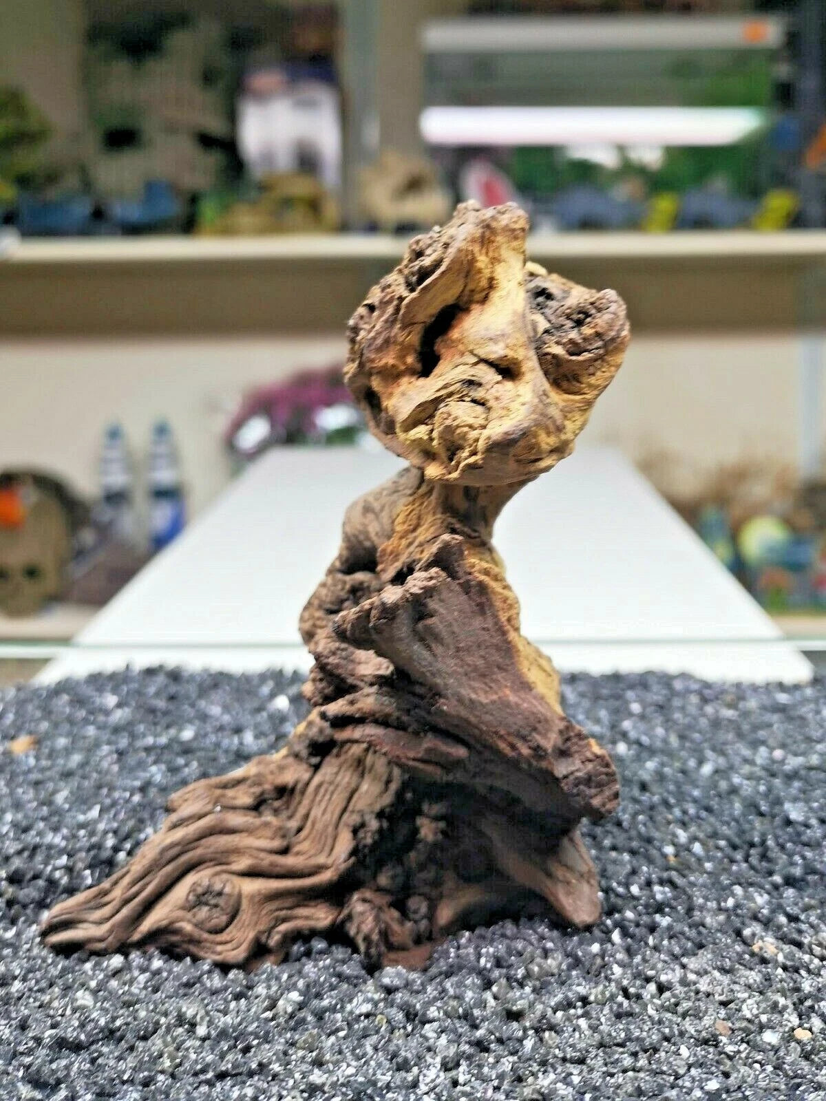 Extra Small Mopani wood x1 FOR Nano AQUARIUM, vivarium AQUASCAPING, bogwood