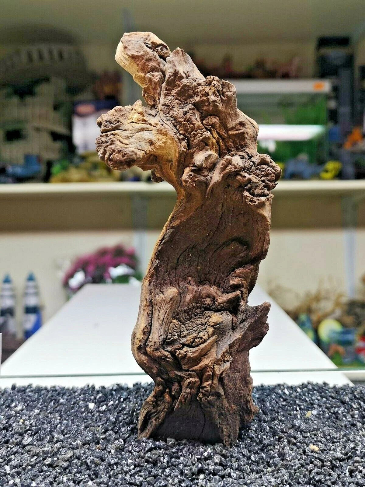 Extra Small Mopani wood x1 FOR Nano AQUARIUM, vivarium AQUASCAPING, bogwood
