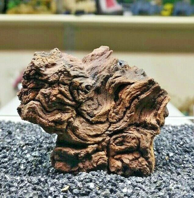 Extra Small Mopani wood x1 FOR Nano AQUARIUM, vivarium AQUASCAPING, bogwood
