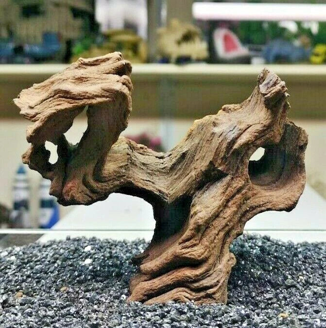 Extra Small Mopani wood x1 FOR Nano AQUARIUM, vivarium AQUASCAPING, bogwood