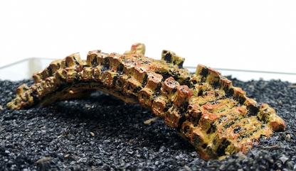 Aquarium Bridge Ornament Fish Tank Decoration Cave Hideout Aquascape