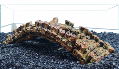 Aquarium Bridge Ornament Fish Tank Decoration Cave Hideout Aquascape