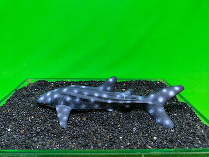 Whale Shark Aquarium Ornament Fish Tank Decoration Realistic Resin Marine Ocean Decor
