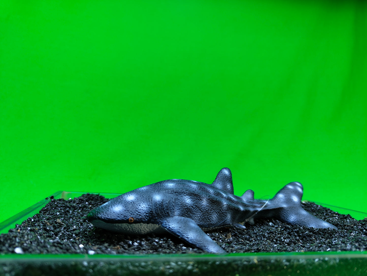 Whale Shark Aquarium Ornament Fish Tank Decoration Realistic Resin Marine Ocean Decor