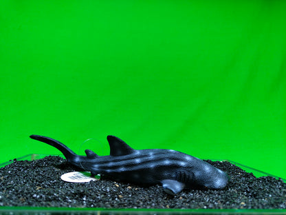 Whale Shark Aquarium Ornament Fish Tank Decoration Realistic Resin Marine Ocean Decor