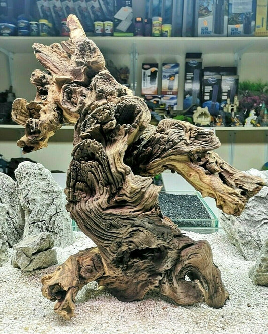 XL Mopani extra large x1 Aquarium vivarium aquascaping bogwood