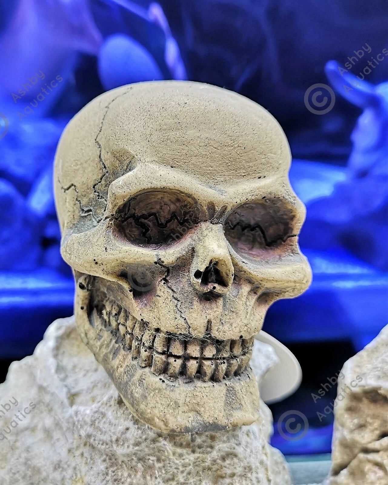 Zombie glow in the dark aquarium ornament Resin Fish Tank Decoration