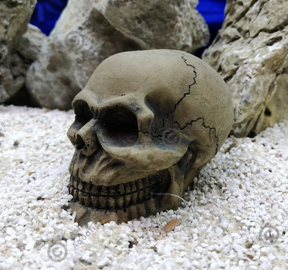 Zombie glow in the dark aquarium ornament Resin Fish Tank Decoration