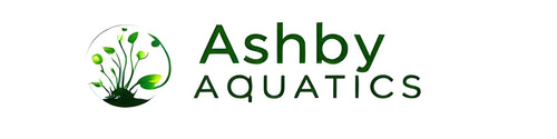 Ashby Aquatics logo